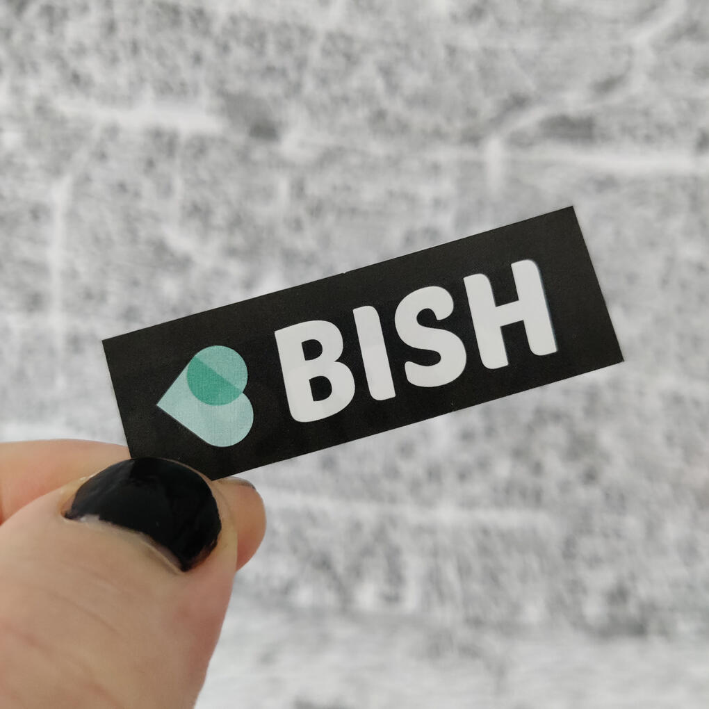 BISH - my website for over 14s